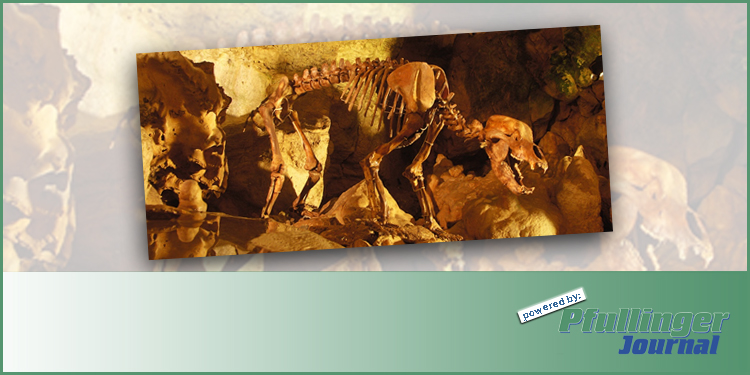 Der Bär ist zurück – Tag der offenen Tür in der Bärenhöhle